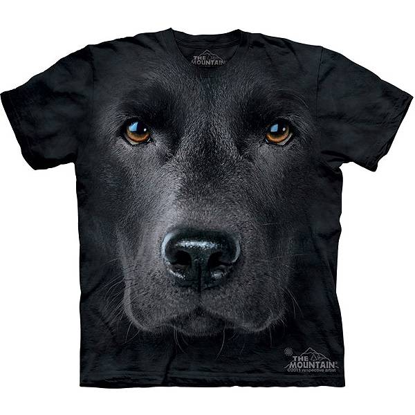 labrador preto | Divulgação/The Mountain