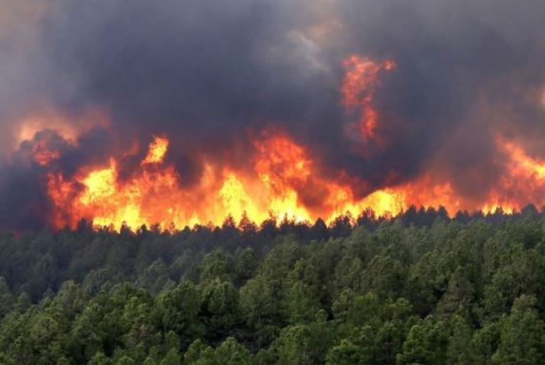 Política e aumento de queimadas reacendem debate sobre ambiente